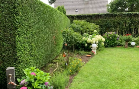 Eine gepflegte Gartenansicht mit einer hohen, dichten Hecke auf der linken Seite und einem blühenden Blumenbeet mit Hortensien und anderen Pflanzen, ergänzt durch dekorative Gartenleuchten, die sich entlang eines sattgrünen Rasens erstrecken.